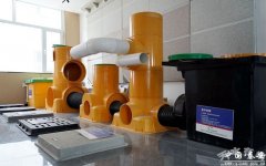 色建建范畴崭露头