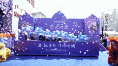 <b>以深耕市场的计谋定力收成了斐然成</b>